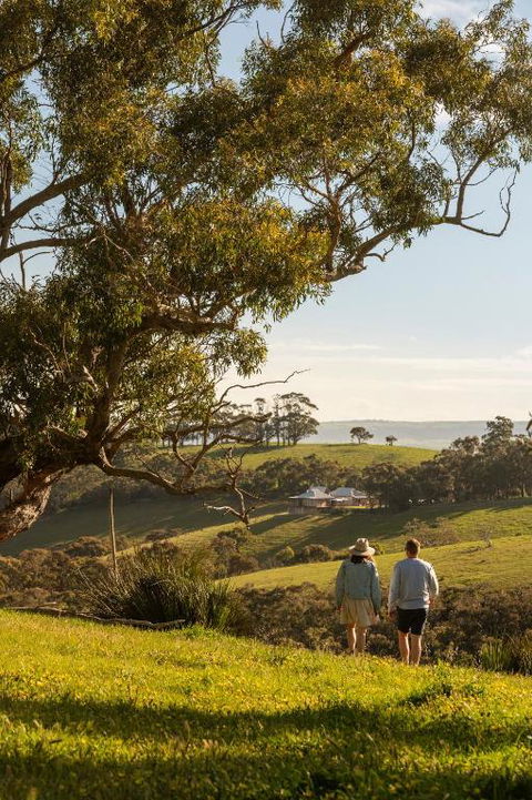 Old Coach Road Estate - Accommodation Sydney 3