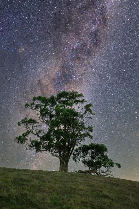 Old Coach Road Estate - Accommodation Sydney 1