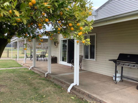 Orange Tree Cottage - Sydney 4u 0