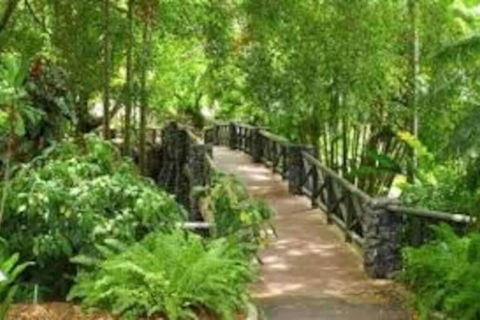 Paddington Pad With Back Deck And Free Car Space Close To Suncorp - Sydney 4u 2
