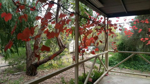 Padthaway Caravan Park - Sydney 4u 1