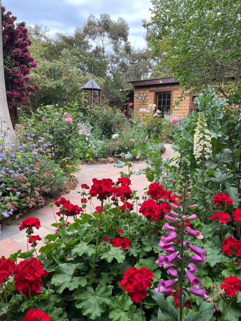 Patricias Garden Studio - Sydney 4u 0