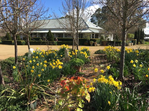 Petschel House - Sydney 4u 1