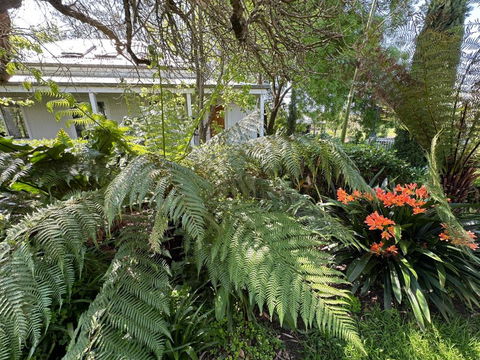 Petschel House - Sydney 4u 3