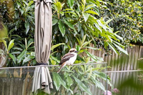 Quaint Queen Room - Central Location At Pymble - Shared Bathroom - Accommodation Sydney 1