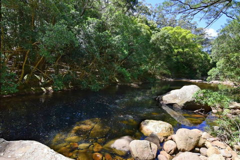 Rainforest River Retreat Kangaroo Valley - Sydney 4u 1