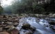 Rainforest River Retreat Kangaroo Valley - thumb 2