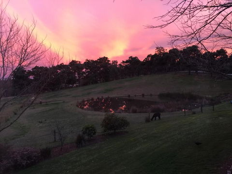 Raynella Alpaca Farmstay - Accommodation Sydney 3
