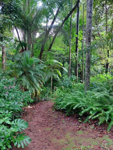Rainforest Retreat-Fireplace-BBQ-3 Acres- - Sydney 4u 0