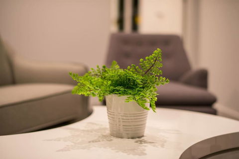 Astrina Deluxe 2 Bedroom - Accommodation Sydney 3