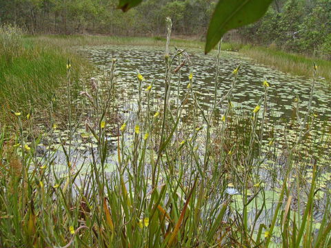 Back To The Bush - Accommodation Sydney 3