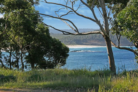 Bannister 49 - Neptune's Way - Sydney 4u 1