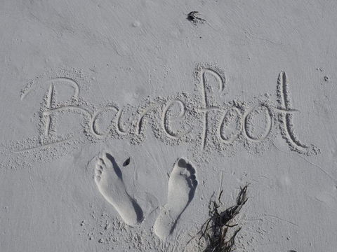 Barefoot Beach House - Sydney 4u 0