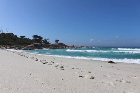 Barefoot Beach House - Sydney 4u 1