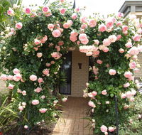 Baudins of Busselton Bed and Breakfast - Accommodation Sydney