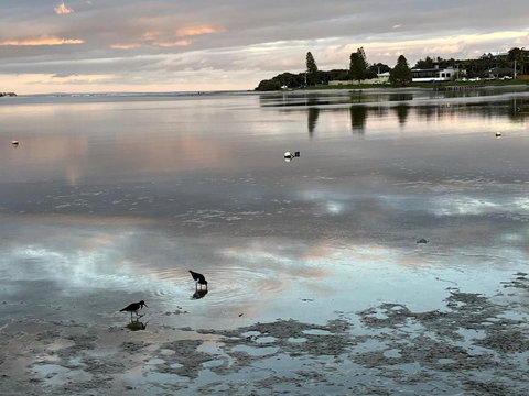 River Studio - Idyllic Location - Accommodation Sydney 0