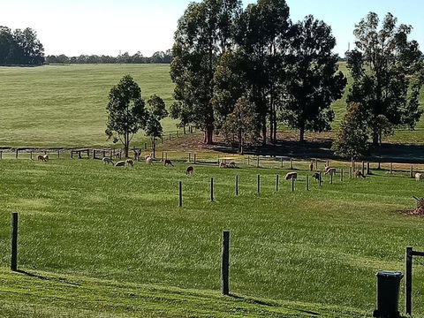 Redtail Ridge Cottages - Accommodation Sydney 1