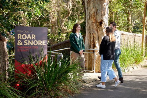 Roar And Snore - Sydney 4u 1