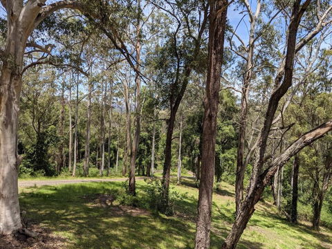 Romantic Cabin Escapes Barrington Tops - Lorikeet - Sydney 4u 1