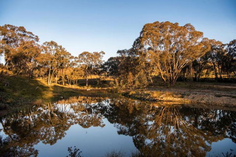 Rose Quartz - 1 Bed With Mountain Views - Kundalini Lodge - Accommodation Sydney 1