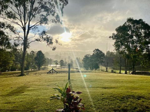 Rosehill Cottage And Bush Retreat - Sydney 4u 0