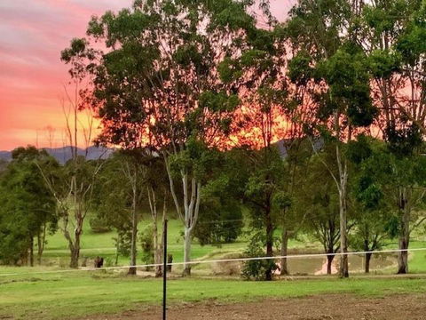 Rosehill Cottage And Bush Retreat - Sydney 4u 2