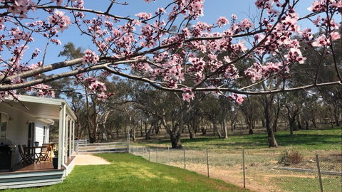 Rosewood Cottage - Sydney Resort 3