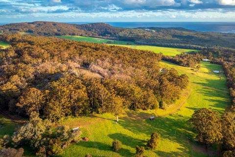 Salt The Tiny Cabin In Denmark - Accommodation Sydney 3