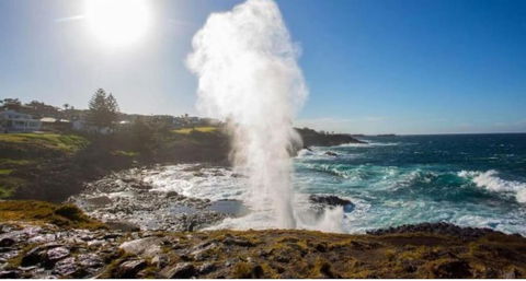 SALTY PALMS -Seaside Studio Apartment - Accommodation Sydney 2