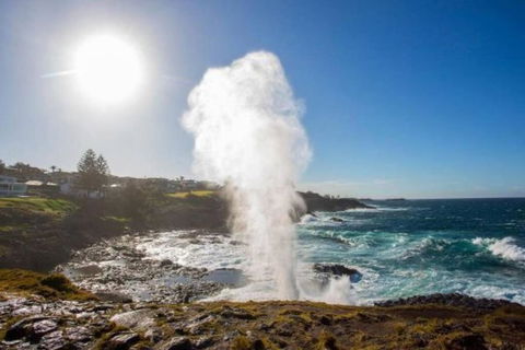 SALTY SOUL KIAMA - Tiny House By The Ocean - Accommodation Sydney 3