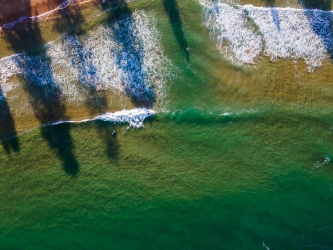 Sandalwood - Accommodation Sydney 2