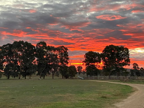 Tack Room - Sydney Resort 3