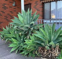 Beautiful Bedroom in Bentleigh East - Accommodation Sydney