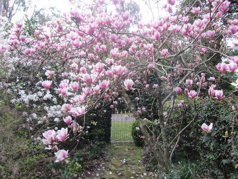 Bellawongarah At Berry - Sydney Resort 1