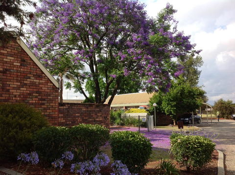 Belvoir Village Motel & Apartments Wodonga - Sydney 4u 0