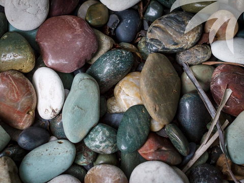 Bessou - Accommodation Sydney 1