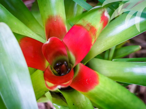 Bessou - Accommodation Sydney 2