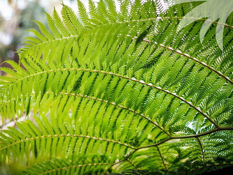 Bessou - Accommodation Sydney 3