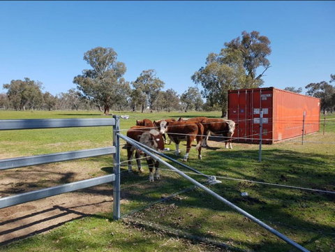 Big Tiny Jindera Park - Accommodation Sydney 2