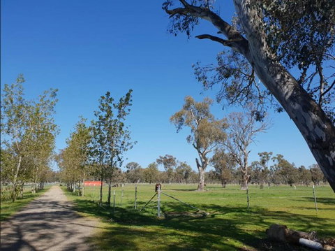 Big Tiny Jindera Park - Accommodation Sydney 3