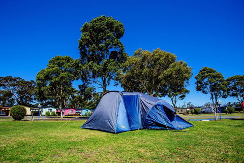 BIG4 Traralgon Park Lane Holiday Park - Sydney 4u 2