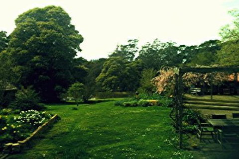 Birdwing Bed And Breakfast Weegena - Accommodation Sydney 0