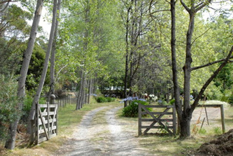 Birdwing Bed And Breakfast Weegena - Accommodation Sydney 3