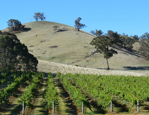 Blue House At Mountainside Wines - Sydney 4u 3