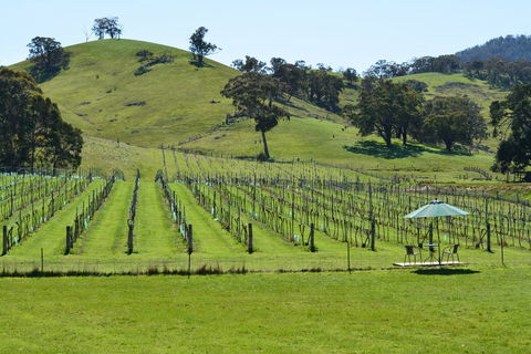 Blue House At Mountainside Wines - Sydney 4u 0
