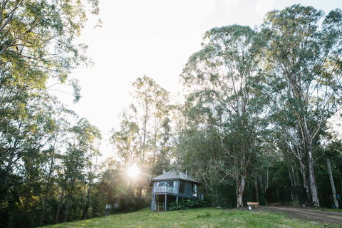 Bluegums Cabins - Sydney 4u 0