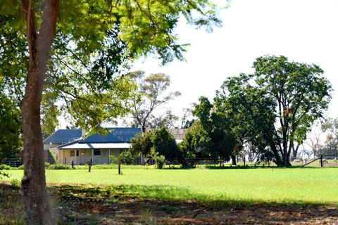 The Jetty Hut - Lake Frontage Barmera Riverland - Sydney 4u 2