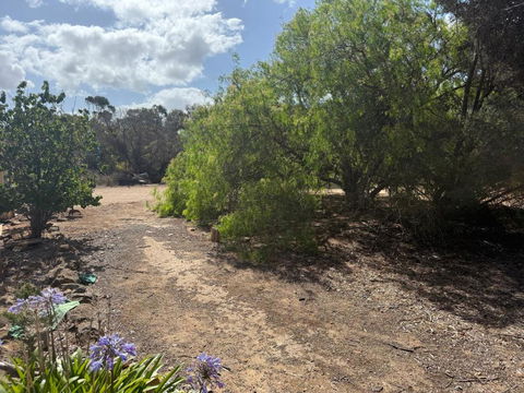 Woody House - Sydney 4u 2