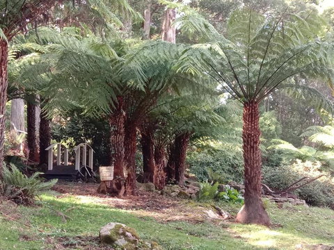 Deer Cottage - Accommodation Sydney 3