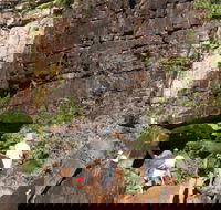 3-Day Kakadu 4WD Camping Safari from Darwin - Sydney 4u